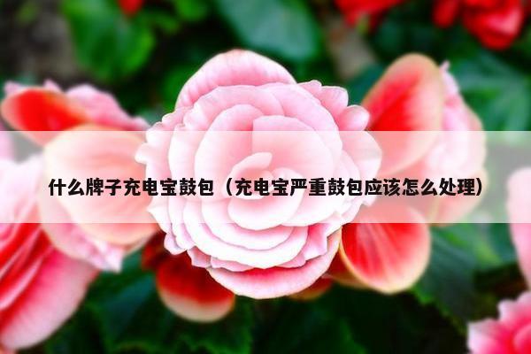 什么牌子充电宝鼓包（充电宝严重鼓包应该怎么处理）