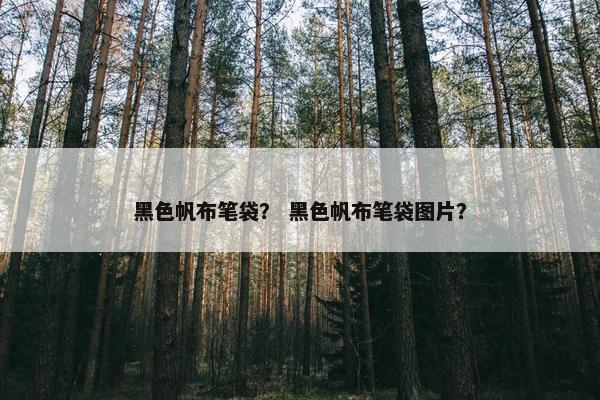 黑色帆布笔袋？ 黑色帆布笔袋图片？