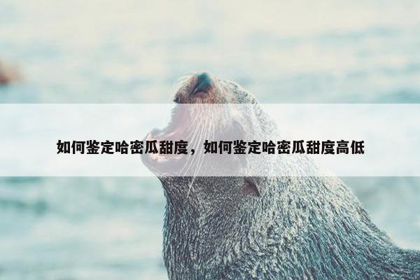 如何鉴定哈密瓜甜度，如何鉴定哈密瓜甜度高低