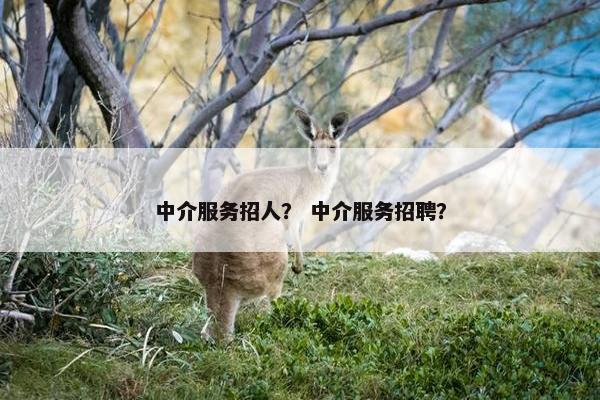 中介服务招人？ 中介服务招聘？