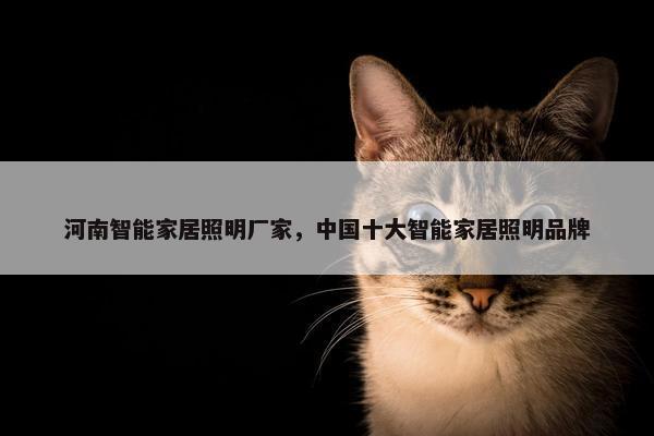 河南智能家居照明厂家，中国十大智能家居照明品牌
