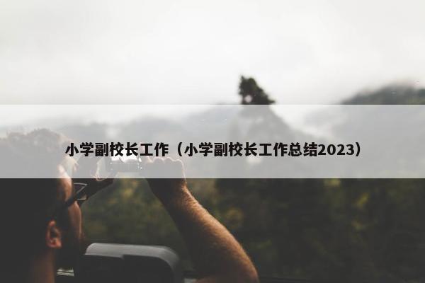小学副校长工作（小学副校长工作总结2023）
