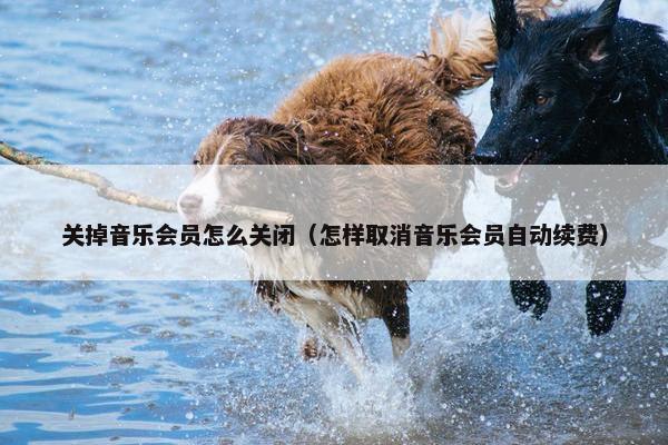 关掉音乐会员怎么关闭（怎样取消音乐会员自动续费）