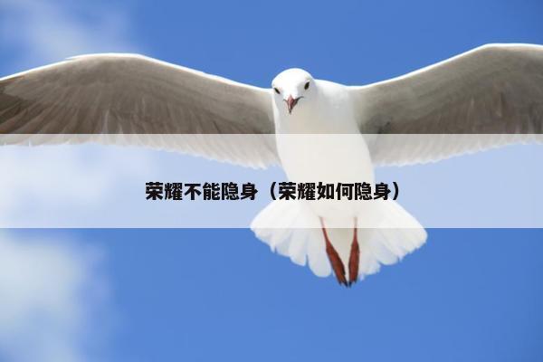 荣耀不能隐身（荣耀如何隐身）