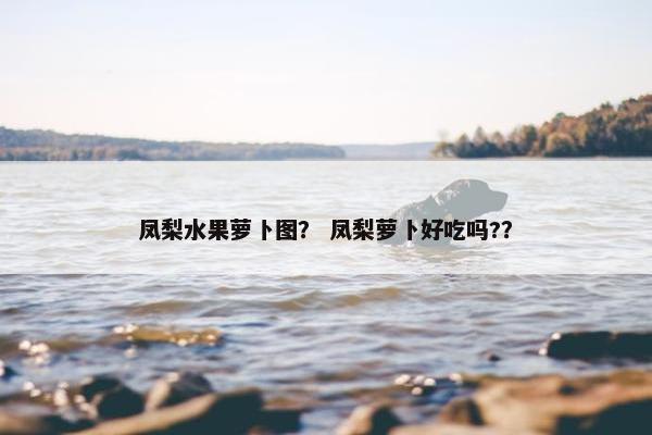 凤梨水果萝卜图？ 凤梨萝卜好吃吗?？