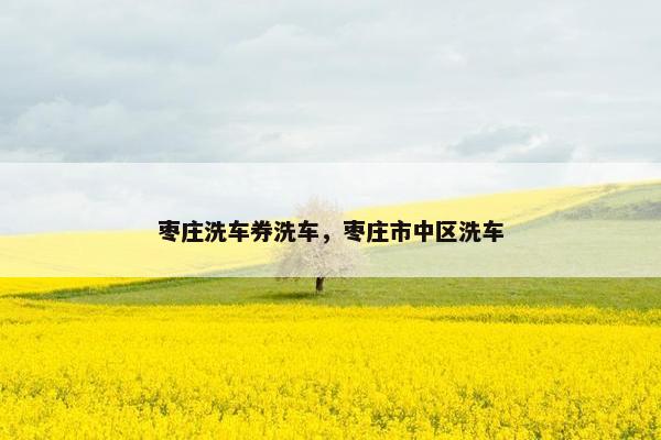 枣庄洗车券洗车，枣庄市中区洗车