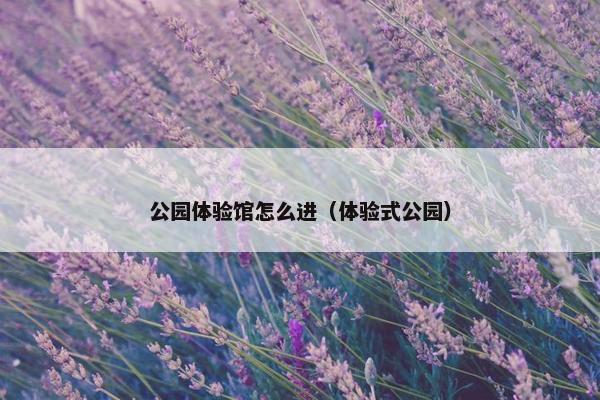 公园体验馆怎么进（体验式公园）