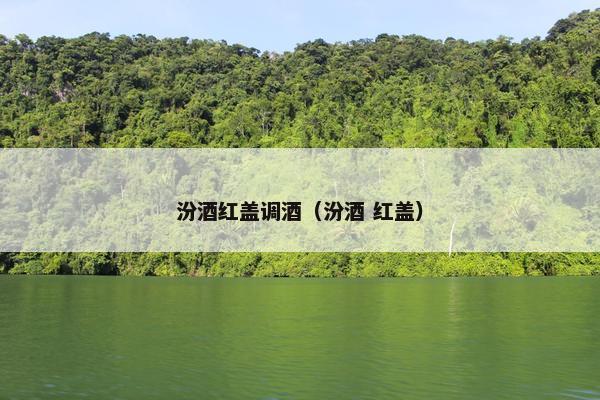 汾酒红盖调酒（汾酒 红盖）