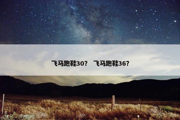 飞马跑鞋30？ 飞马跑鞋36？