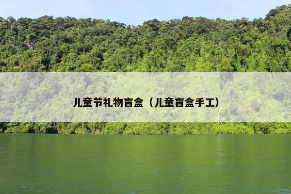 儿童节礼物盲盒（儿童盲盒手工）