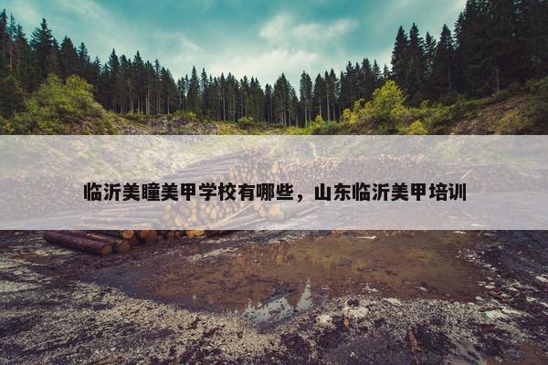 临沂美瞳美甲学校有哪些，山东临沂美甲培训