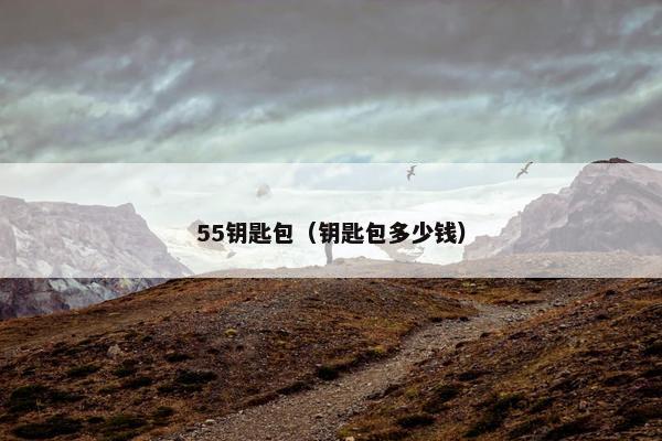 55钥匙包（钥匙包多少钱）