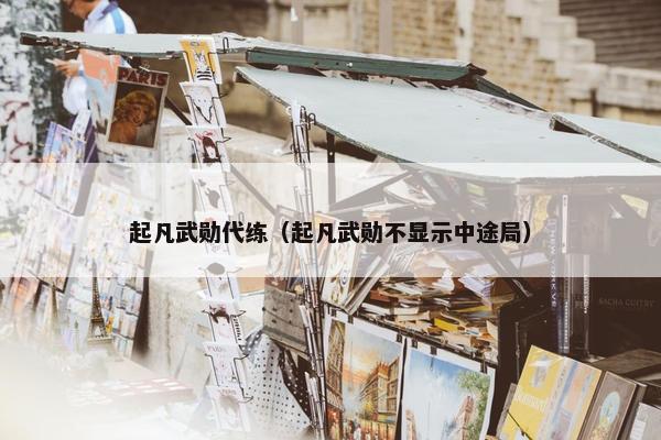 起凡武勋代练（起凡武勋不显示中途局）