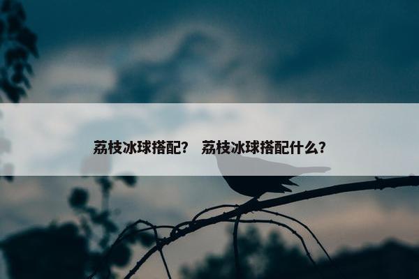 荔枝冰球搭配？ 荔枝冰球搭配什么？