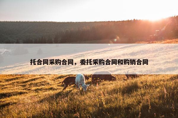 托合同采购合同，委托采购合同和购销合同