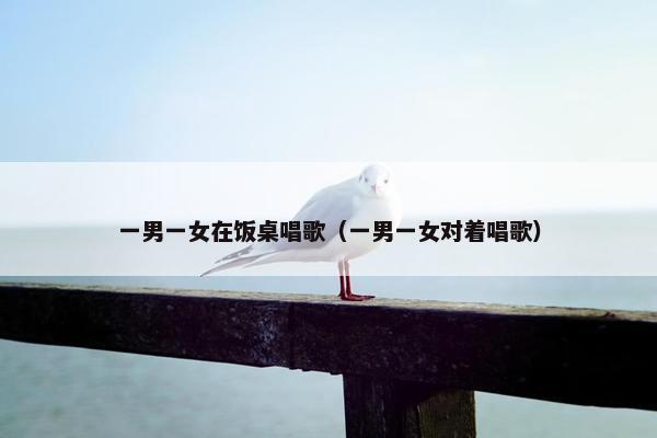 一男一女在饭桌唱歌（一男一女对着唱歌）