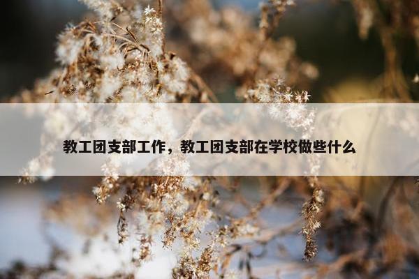 教工团支部工作，教工团支部在学校做些什么