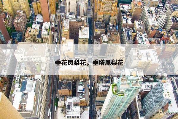 垂花凤梨花，垂塔凤梨花