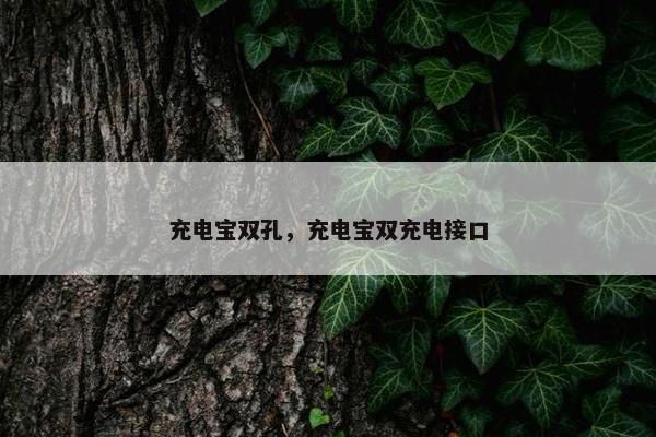 充电宝双孔，充电宝双充电接口