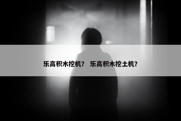 乐高积木挖机？ 乐高积木挖土机？
