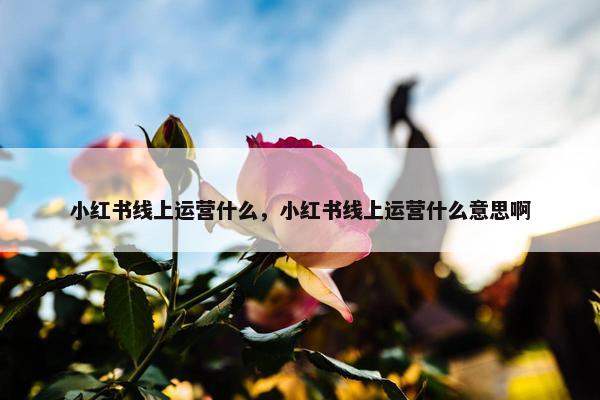 小红书线上运营什么，小红书线上运营什么意思啊