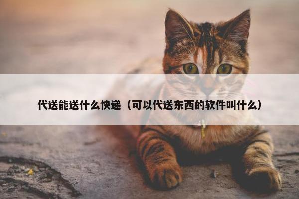 代送能送什么快递（可以代送东西的软件叫什么）