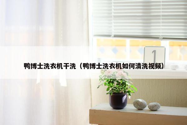 鸭博士洗衣机干洗（鸭博士洗衣机如何清洗视频）