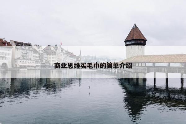 商业思维买毛巾的简单介绍