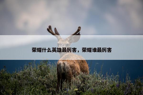 荣耀什么英雄最厉害，荣耀谁最厉害