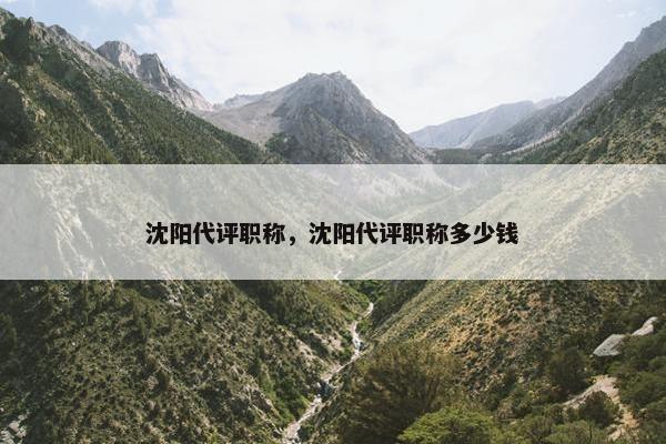 沈阳代评职称，沈阳代评职称多少钱