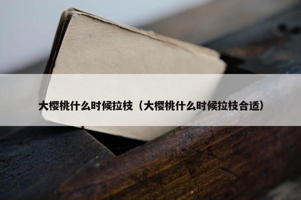 大樱桃什么时候拉枝（大樱桃什么时候拉枝合适）