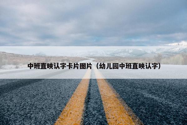 中班直映认字卡片图片（幼儿园中班直映认字）