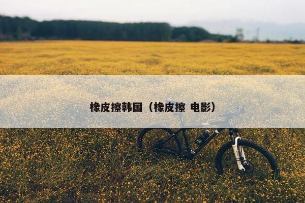 橡皮擦韩国（橡皮擦 电影）