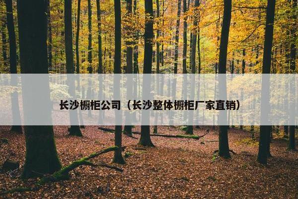 长沙橱柜公司（长沙整体橱柜厂家直销）