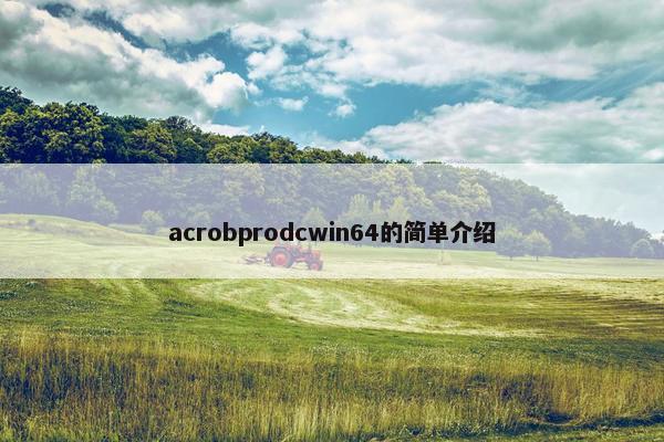 acrobprodcwin64的简单介绍