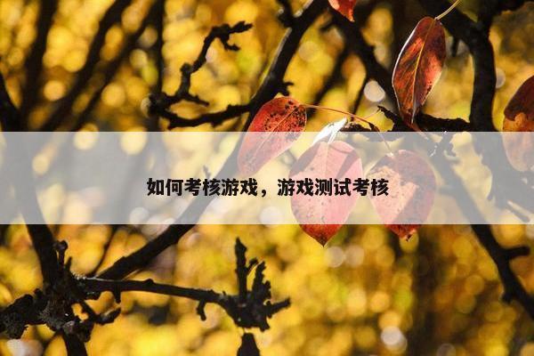 如何考核游戏，游戏测试考核