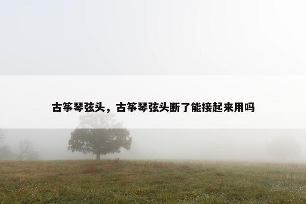 古筝琴弦头，古筝琴弦头断了能接起来用吗