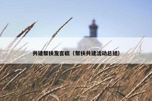 共建帮扶发言稿（帮扶共建活动总结）