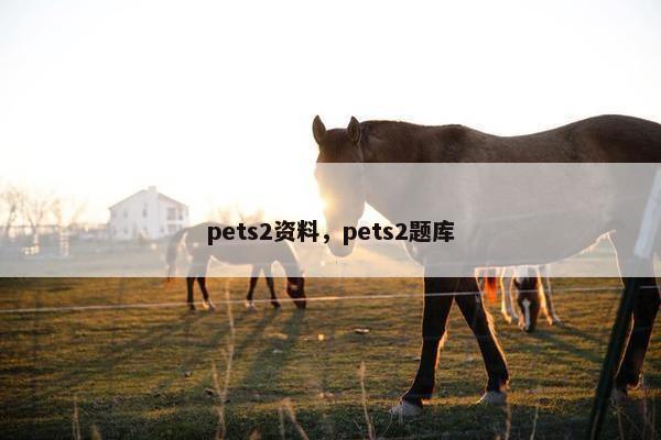 pets2资料，pets2题库