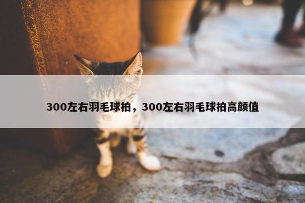 300左右羽毛球拍，300左右羽毛球拍高颜值