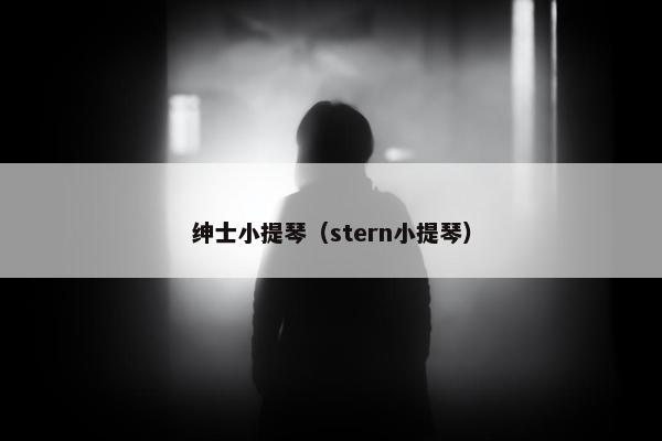 绅士小提琴（stern小提琴）
