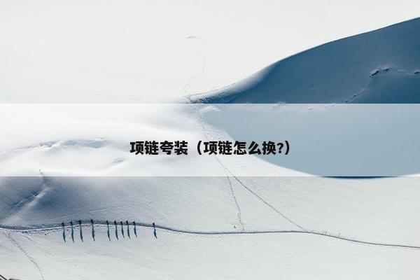 项链夸装（项链怎么换?）