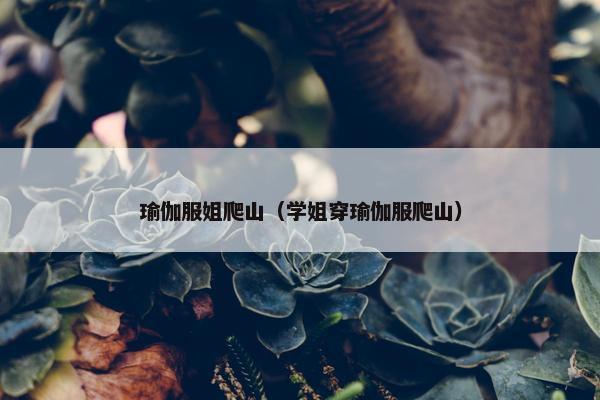 瑜伽服姐爬山（学姐穿瑜伽服爬山）