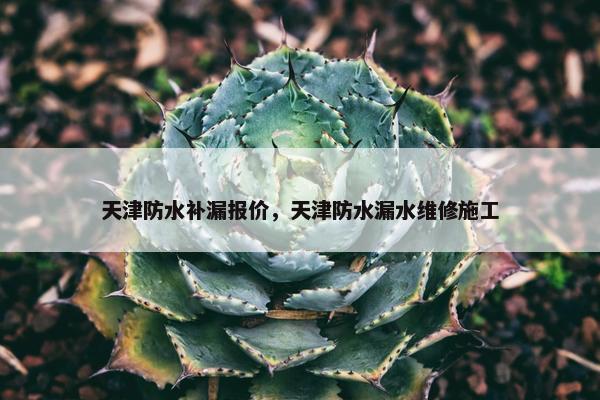天津防水补漏报价，天津防水漏水维修施工