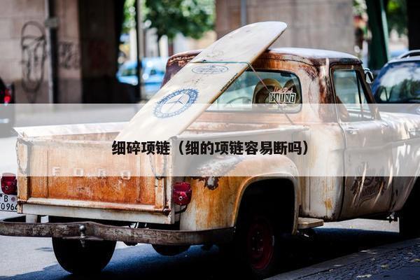 细碎项链（细的项链容易断吗）