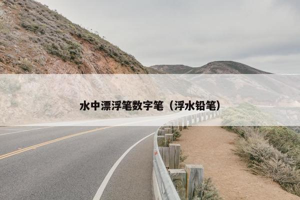 水中漂浮笔数字笔（浮水铅笔）