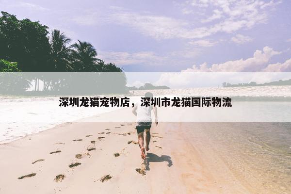 深圳龙猫宠物店，深圳市龙猫国际物流