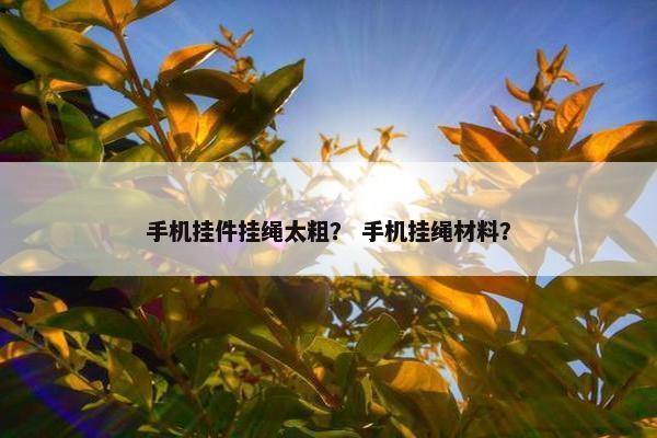 手机挂件挂绳太粗？ 手机挂绳材料？