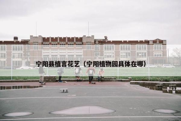 宁阳县植言花艺（宁阳植物园具体在哪）