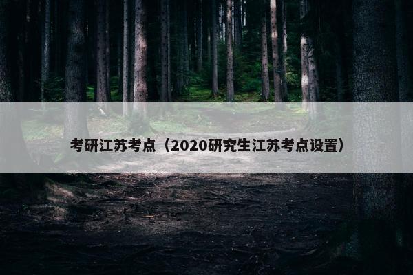 考研江苏考点（2020研究生江苏考点设置）